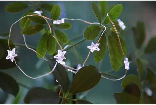 12 LED Xmas Dew Drop Stars - Neutral White - 1.1m