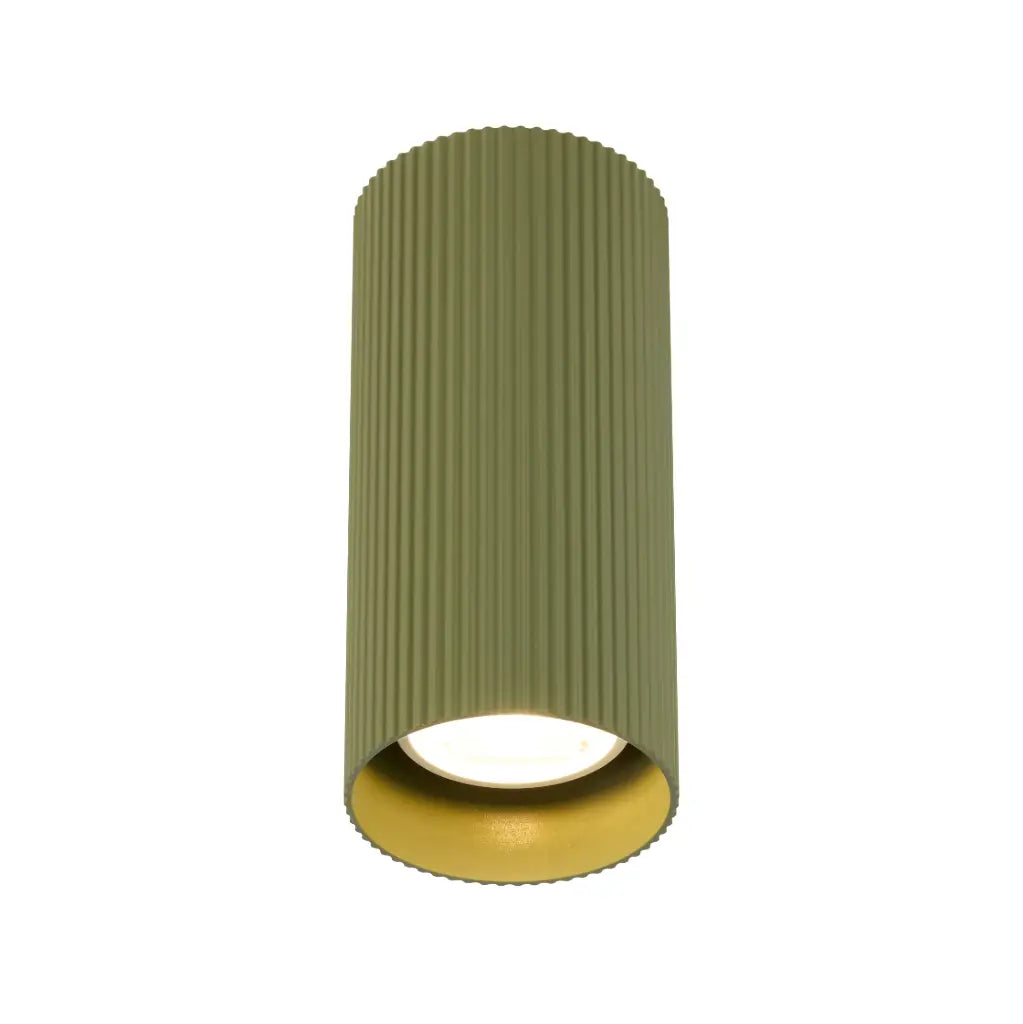 Minzie Surface Mounted Downlight