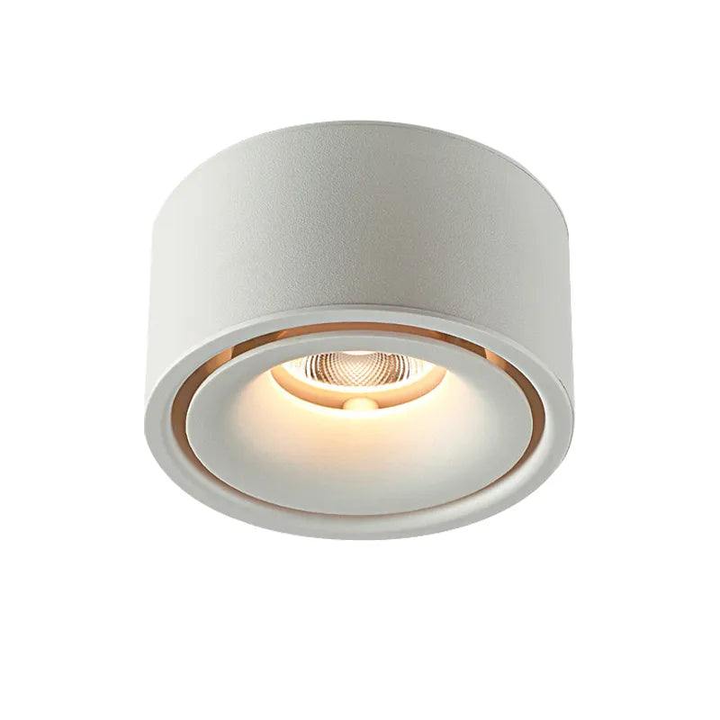 DL1542 Downlights