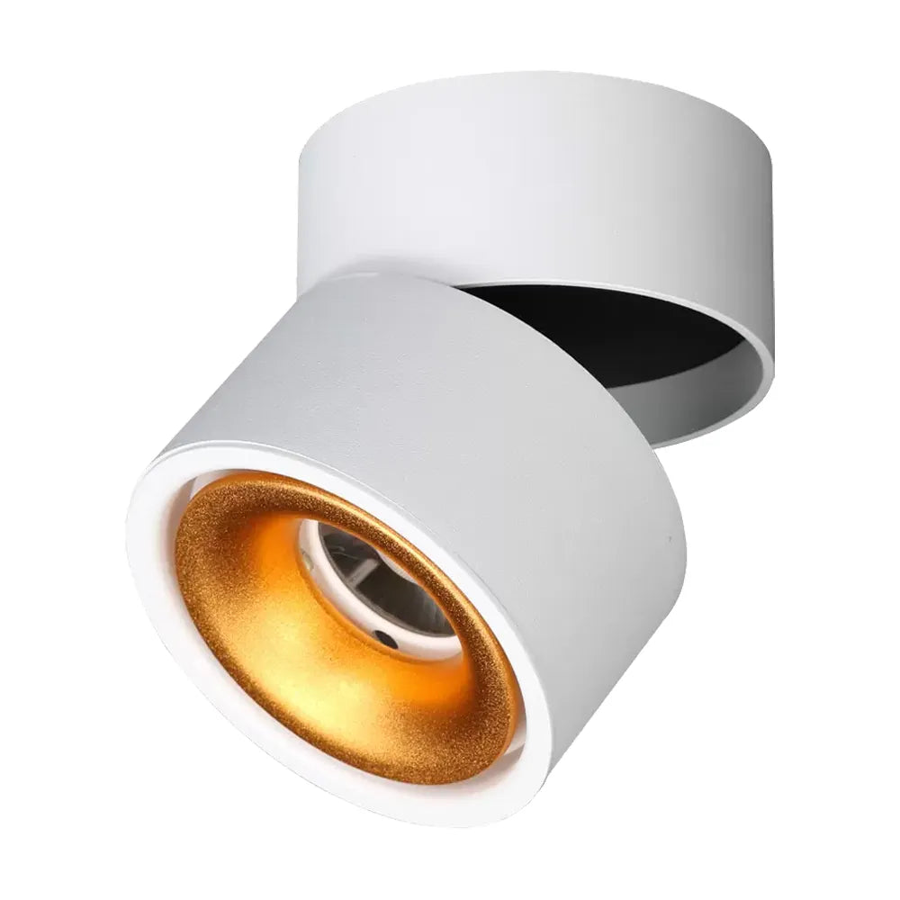DL3017 Downlights
