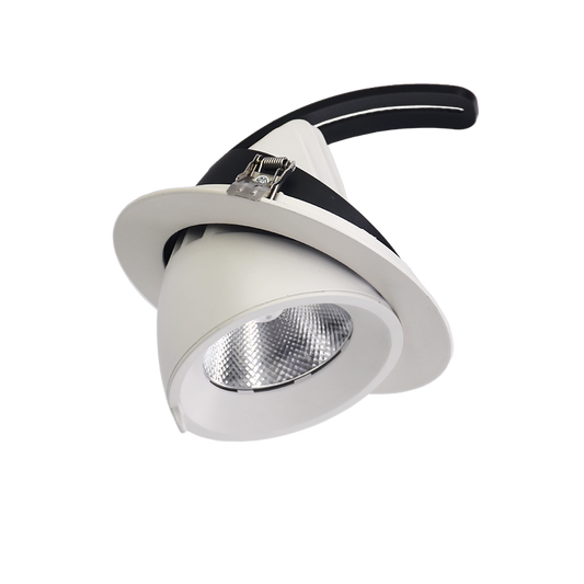 LED Round Adjustable Downlight DL3503