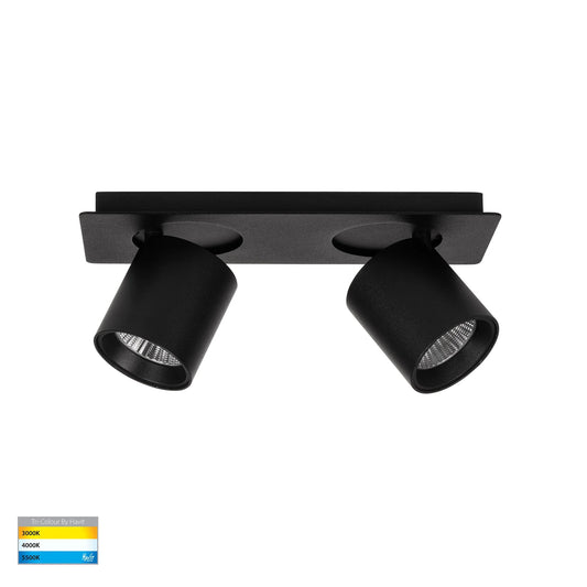Sbarra 2 Light Adjustable Bar Light
