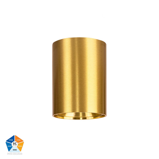 Nella Brass 7w Surface Mounted LED Downlight