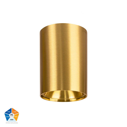 Nella Brass 12w Surface Mounted LED Downlight