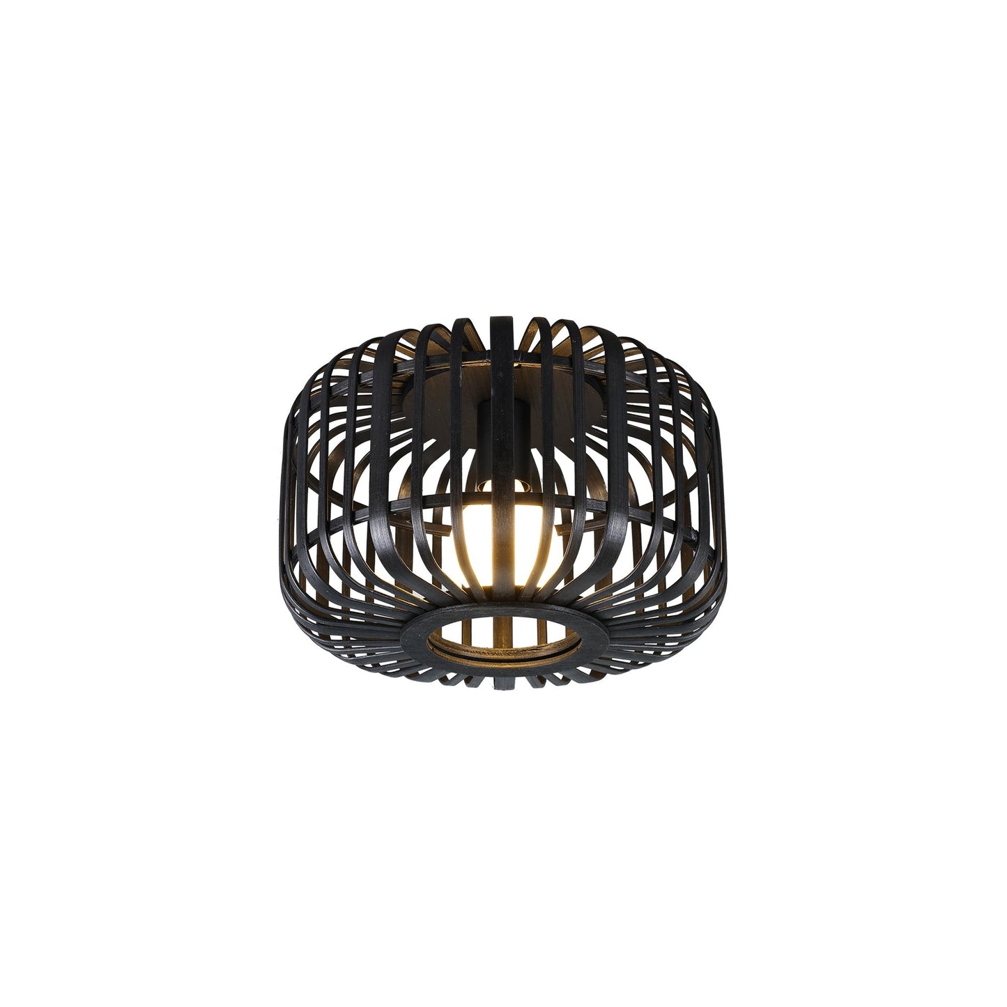 Canaya Ceiling Light