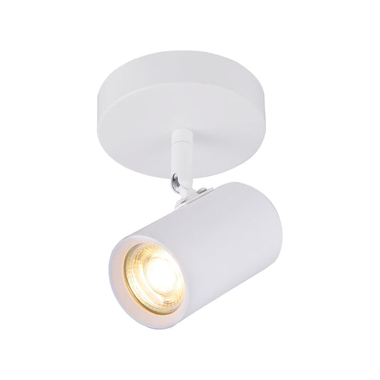 Brianna Spot Light