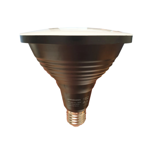 LED PAR38