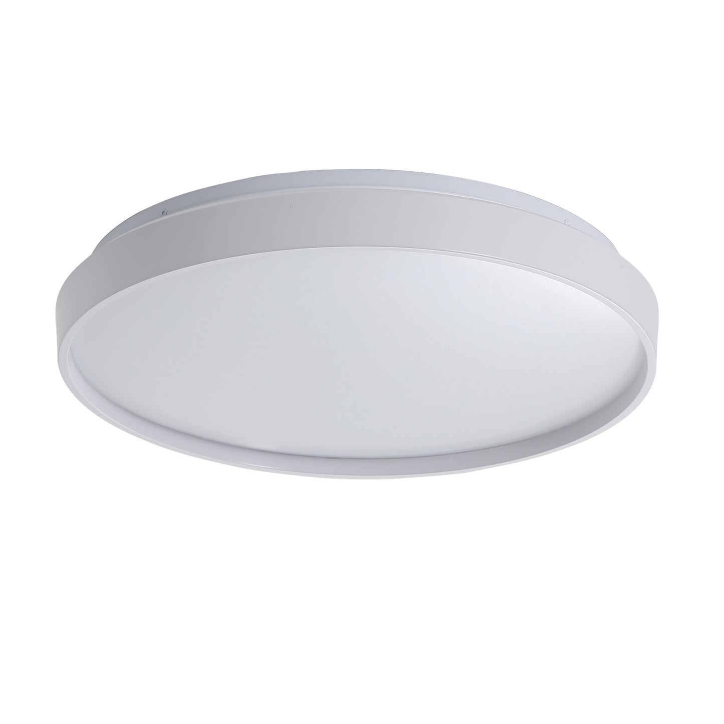 Leena LED Ceiling Light