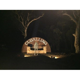 10W Floodlight - Dual Colour