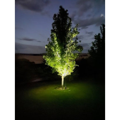 High-Output Garden Spot Light with Attached Solar Panel