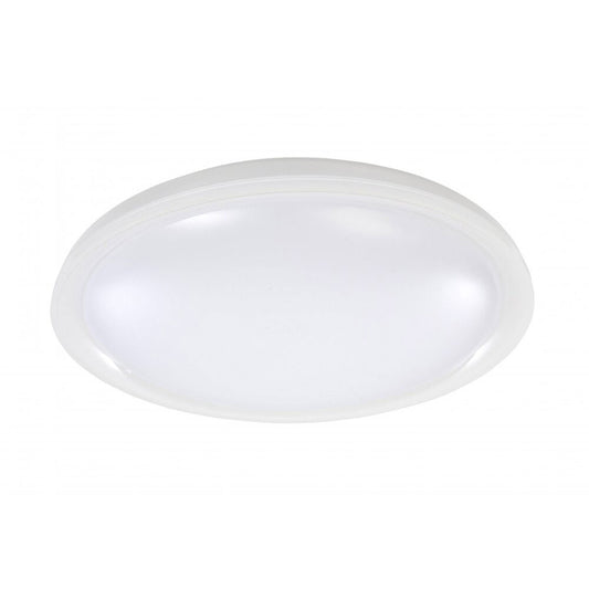 Moonlight 30W LED Oyster Light