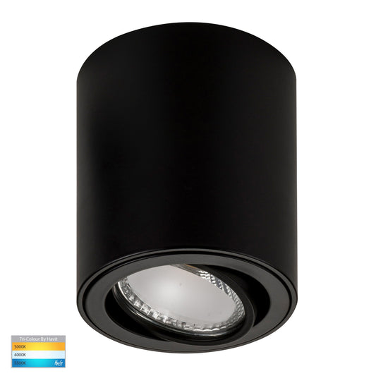Surface Mounted Adjustable Round Downlight HV5812t