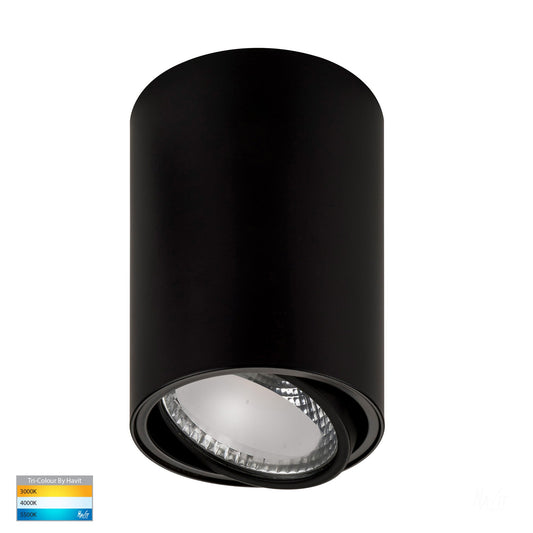 Surface Mounted Adjustable Round Downlight HV5813t