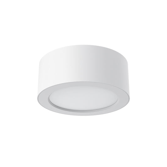 30w LED Surface Mount