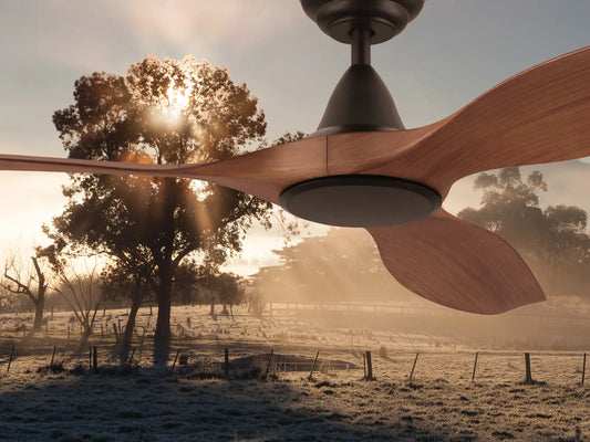 Choosing the Right Ceiling Fan for Queensland Homes During Winter