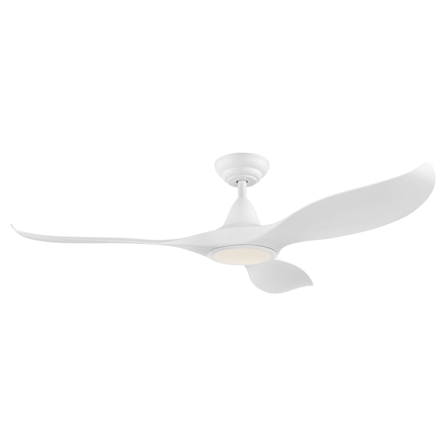 Noosa DC Ceiling Fan with LED Light