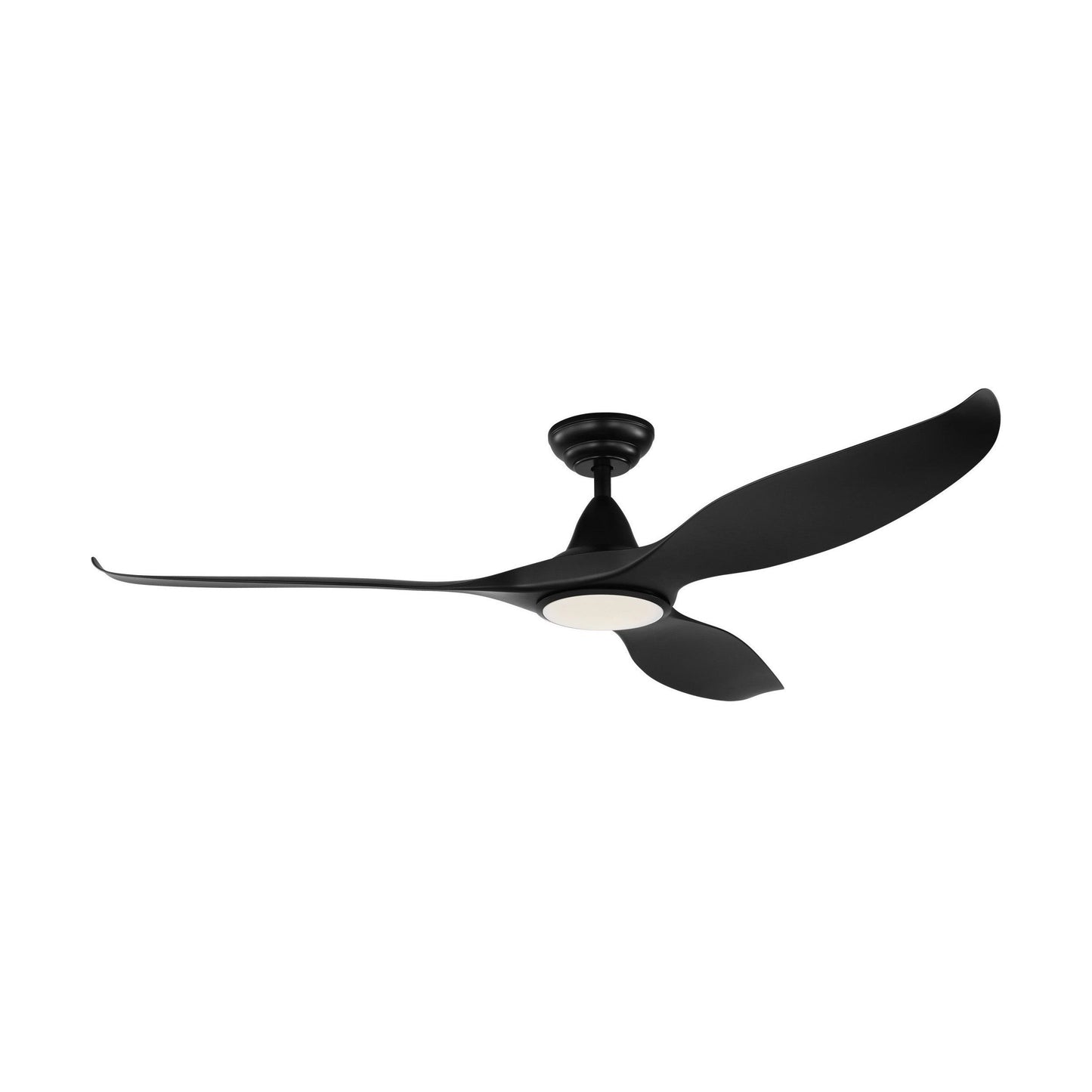 Noosa DC Ceiling Fan with LED Light