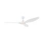 Noosa DC Ceiling Fan with LED Light