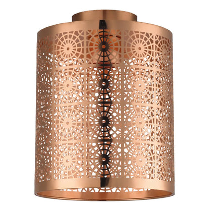 Bocal Diy Ceiling Light