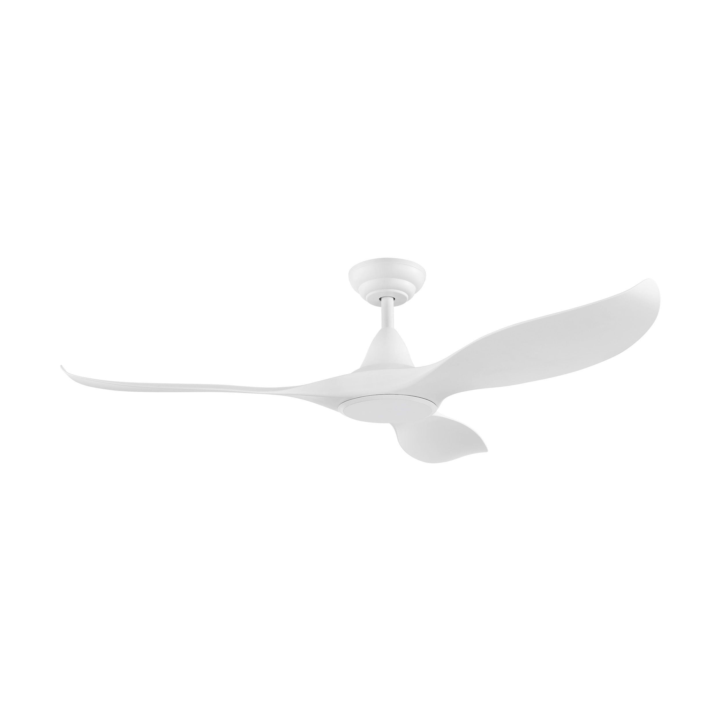 Noosa DC Ceiling Fan Discount Lighting & Fans