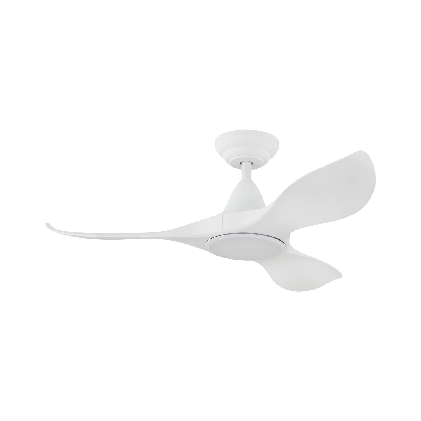 Noosa DC Ceiling Fan with LED Light