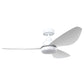 Torquay DC Ceiling Fan with LED Light