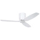 Seacliffe DC Hugger Ceiling Fan