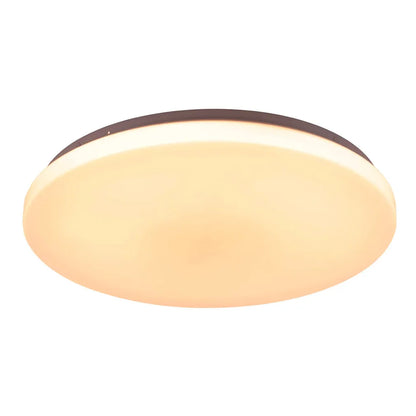 Diego LED Oyster Light