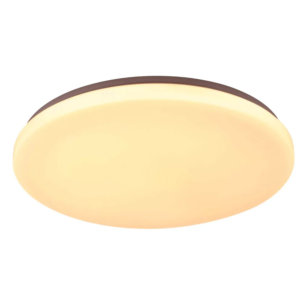 Diego LED Oyster Light