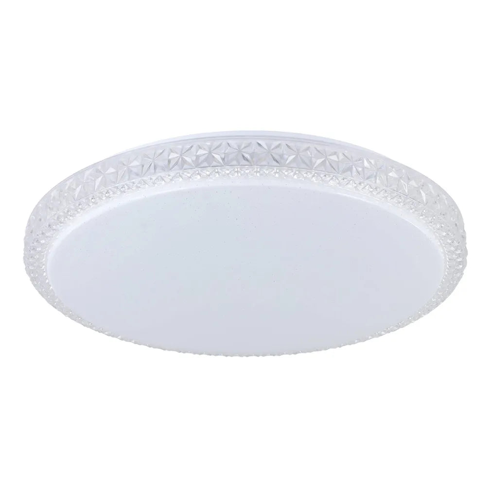 Delilah Oyster LED Light