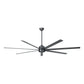 Tourbillion DC Ceiling Fan