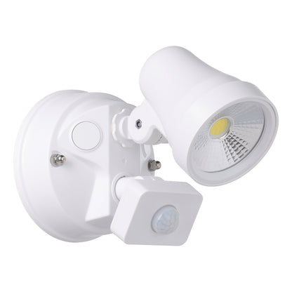 Coastguard Spot Light with Sensor