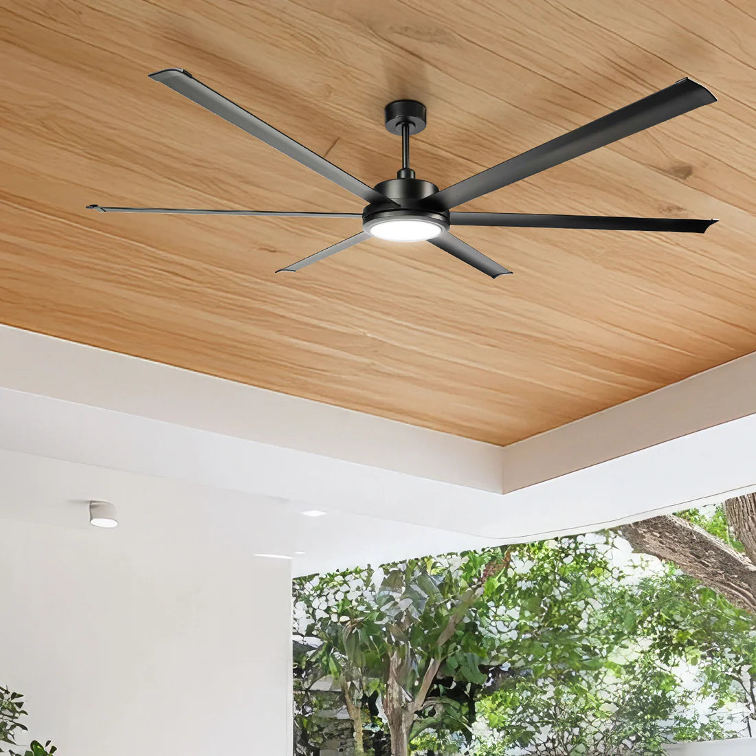 Colossus Ceiling Fan Light Kit