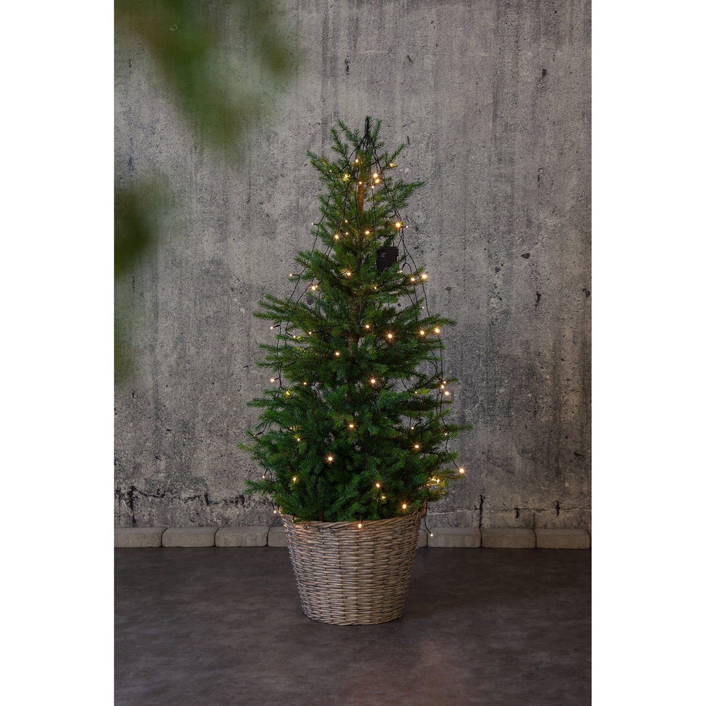 Akku Fairy Lights Bouquet - 2.7m