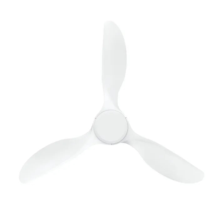 Ranger DC Ceiling Fan