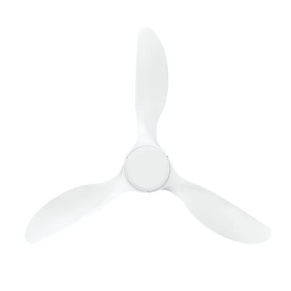 Ranger DC Ceiling Fan
