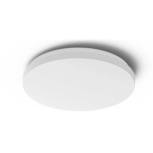 Dover LED Ceiling Light