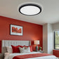 Hector LED Ceiling Light