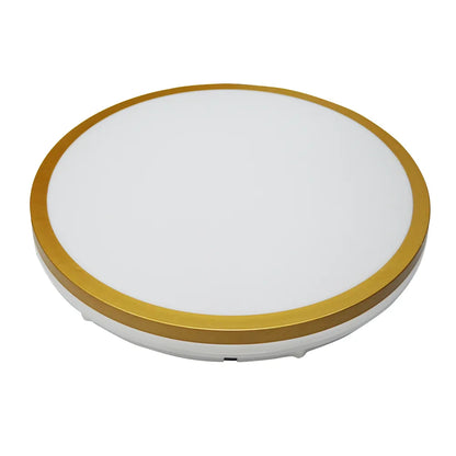 Hector LED Ceiling Light