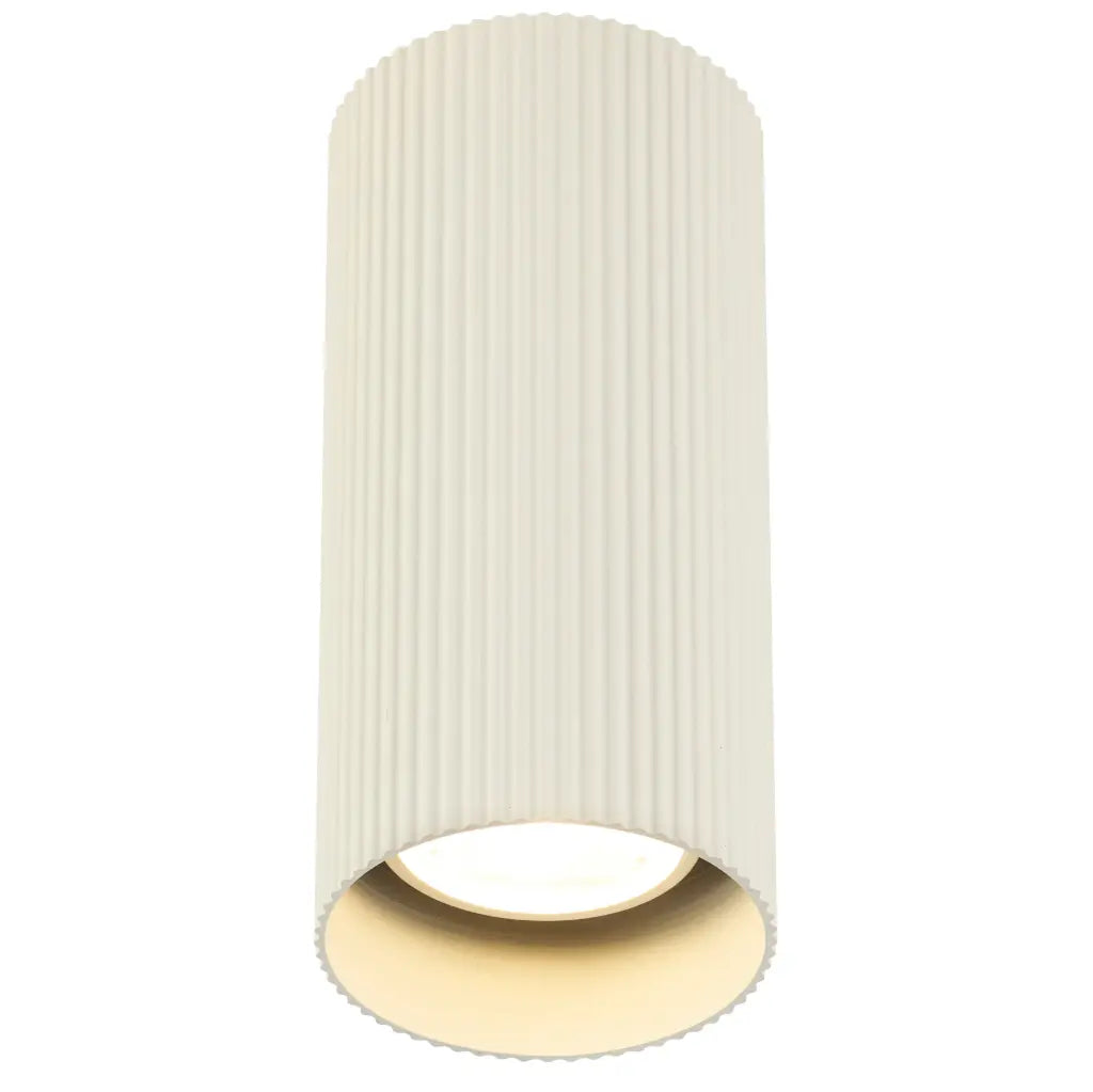 Minzie Surface Mounted Downlight
