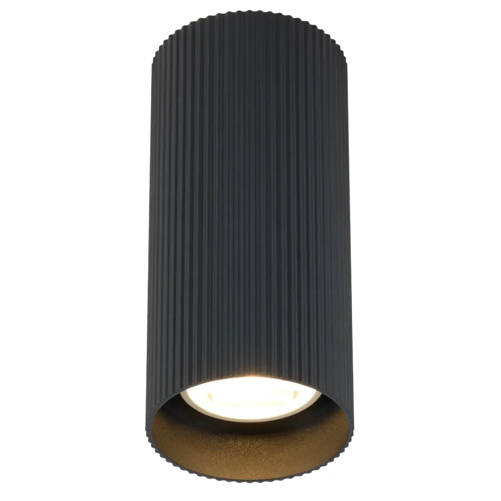 Minzie Surface Mounted Downlight