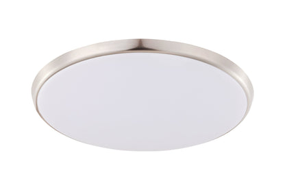 Ollie CCT Ceiling Light