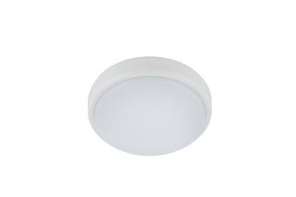 Burleigh Wall/Ceiling Light