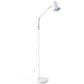 Lara Adjustable Floor Lamps