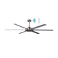 Albatross II DC Ceiling Fan