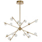 Captiva 16 Light Pendant