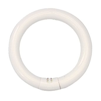 Circular Fluorescent Lamp 22W 3K