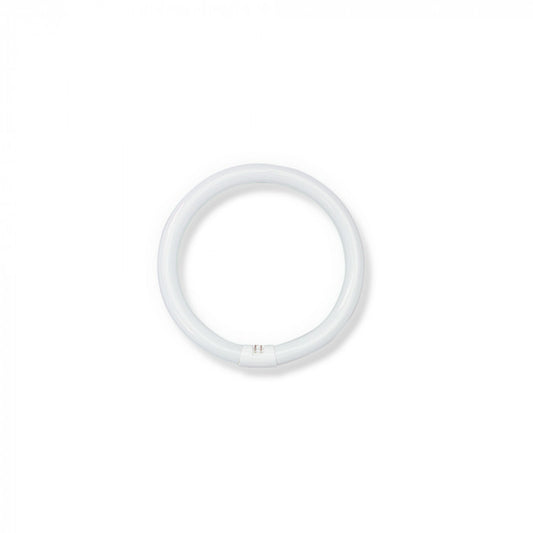 Circular Fluorescent lamp 32W