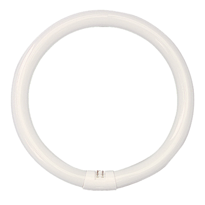 Circular Fluorescent lamp 32W