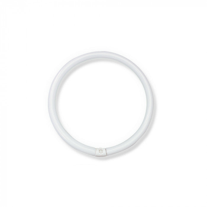 Circular Fluorescent Lamp 40W